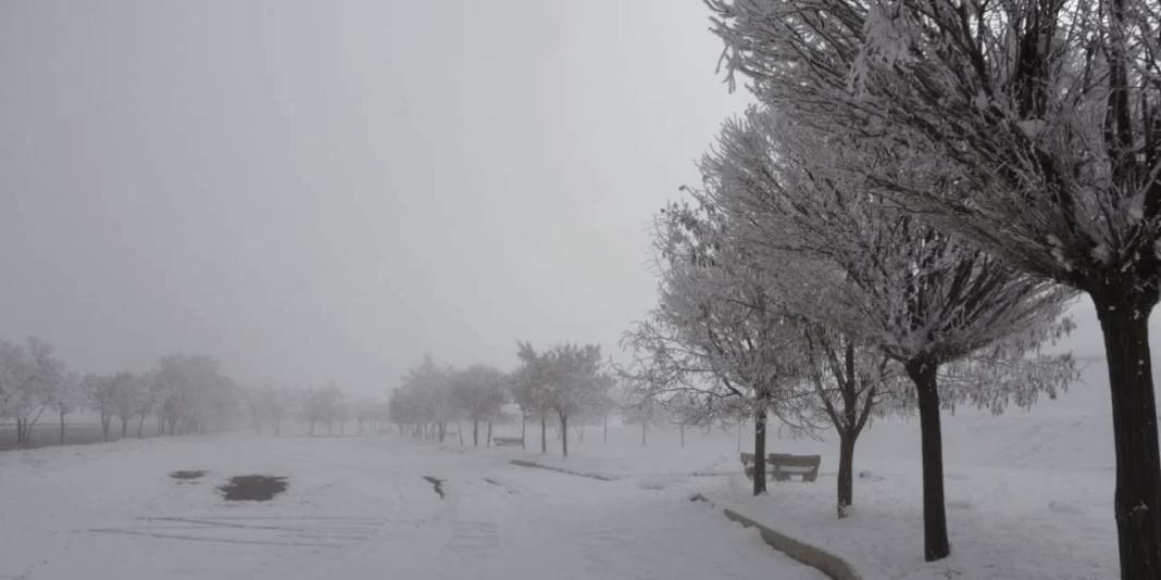 Bitlis’te dondurucu soğuk etkili oluyor: Hava sıcaklığı eksi 13,8 dereceyi gördü 3